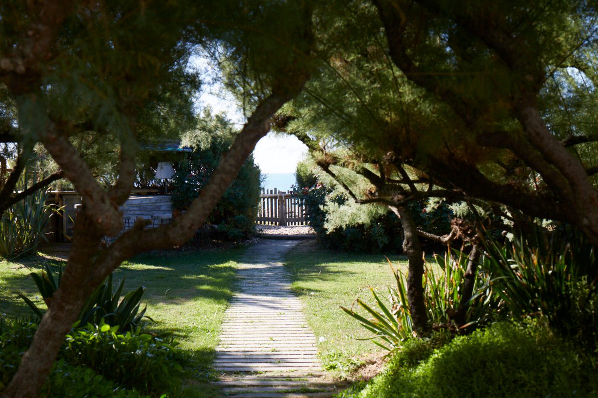 Garden Overview 005